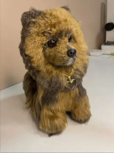 Depois do curso: cachorro de pelo marrom volumoso, feltrado