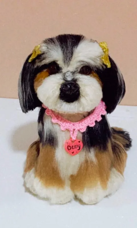 Depois do curso: shih-tzu realista preto, branco e caramelo com coleira rosa