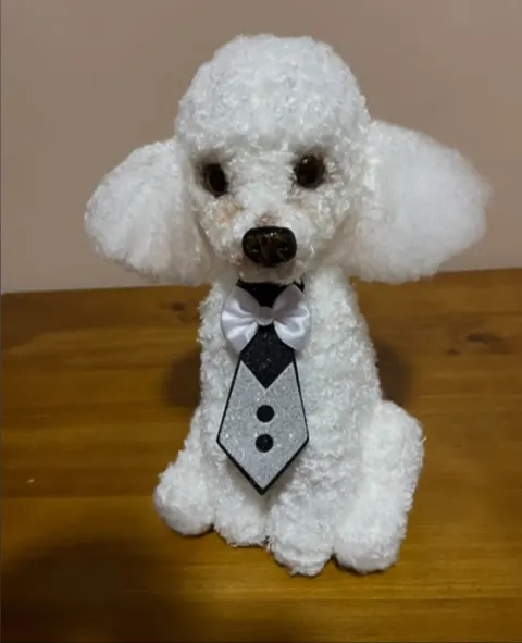 Depois do curso: poodle branco realista de gravata