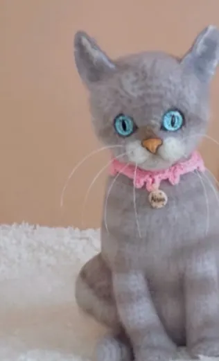 Depois do curso: gato cinza realista de olhos azuis